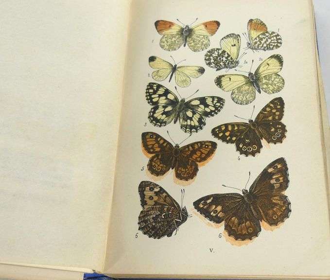 BRITISH BUTTERFLIES ILLUSTRATED VOLUME