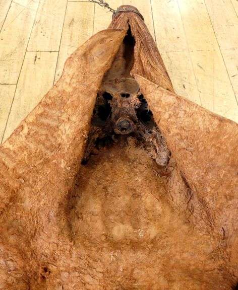 LATE VICTORIAN CROCODILE SKIN