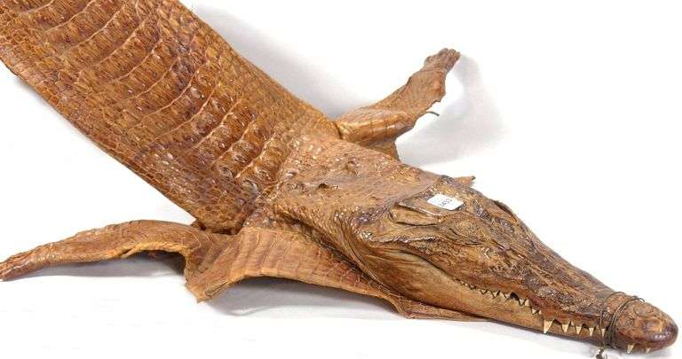 LATE VICTORIAN CROCODILE SKIN