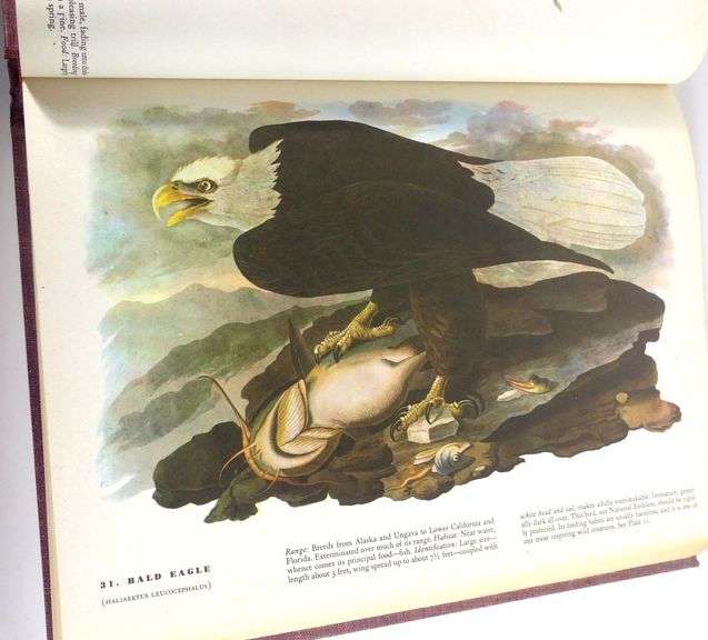 THE BIRDS OF AMERICA BY JOHN JAMES AUDUBON