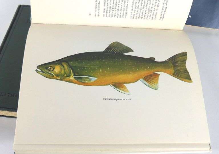 FOUR FISHING VOLUMES