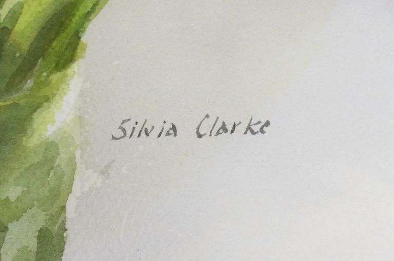 SILVIA CLARKE