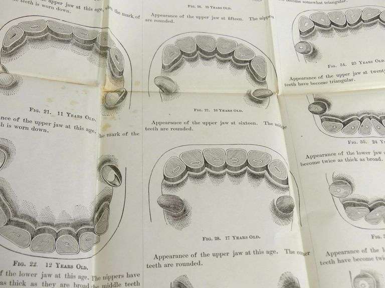 19TH CENTURY SCIENTIFIC & MEDICAL VOLUMES
