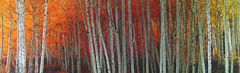PETER LIK