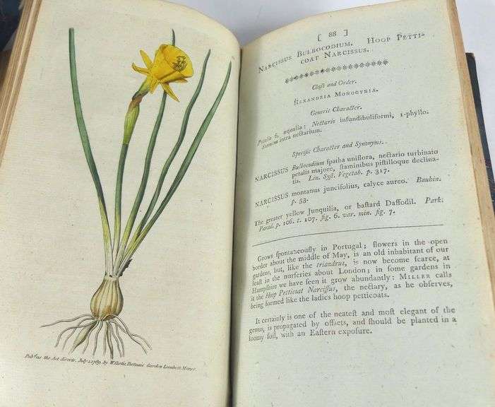 18TH CENTURY BOTANICAL MAGAZINE VOLUMES I TO IV
