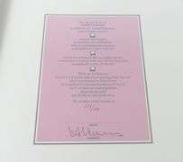 GARNET HAZARD LIMITED EDITION PRINT SET