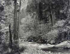 ANSEL ADAMS