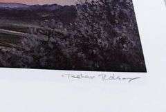 COSTLY PETER ROBSON LIMITED EDITION VOLUME