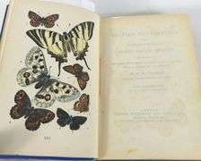 BRITISH BUTTERFLIES ILLUSTRATED VOLUME