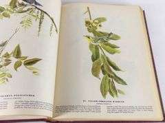 THE BIRDS OF AMERICA BY JOHN JAMES AUDUBON