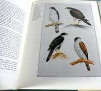 THE BIRDS OF NORTH AMERICA