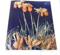 GARNET HAZARD LIMITED EDITION PRINT SET