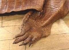 LATE VICTORIAN CROCODILE SKIN