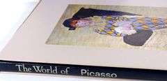 TWO PICASSO VOLUMES