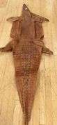 LATE VICTORIAN CROCODILE SKIN
