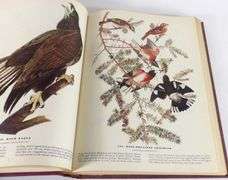 THE BIRDS OF AMERICA BY JOHN JAMES AUDUBON