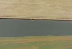 LAWREN HARRIS SILKSCREEN PRINT BY SAMPSON-MATTHEWS