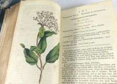 18TH CENTURY BOTANICAL MAGAZINE VOLUMES I TO IV