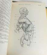 MEDICAL VOLUMES INCLUDING GRAY'S ANATOMY
