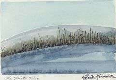 WATERCOLOURS BY SHEILA KINNEAR