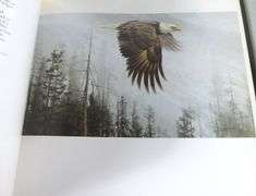 WILDLIFE ART VOLUMES INCL. SIGNED EDITIONS