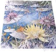 GARNET HAZARD LIMITED EDITION PRINT SET