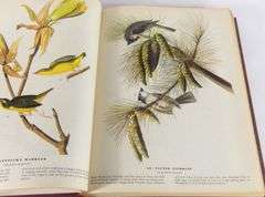 THE BIRDS OF AMERICA BY JOHN JAMES AUDUBON