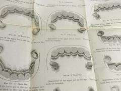 19TH CENTURY SCIENTIFIC & MEDICAL VOLUMES