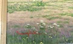 CONTINENTAL SCHOOL OIL