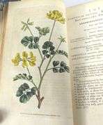 18TH CENTURY BOTANICAL MAGAZINE VOLUMES I TO IV