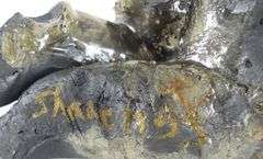 SHARON FAKTOROWITSCH (FAKTOROWICZ)