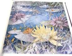 GARNET HAZARD LIMITED EDITION PRINT SET