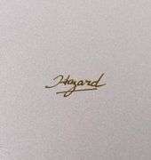 GARNET HAZARD LIMITED EDITION PRINT SET