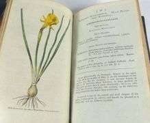 18TH CENTURY BOTANICAL MAGAZINE VOLUMES I TO IV