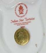 3 DERBY PAPERWEIGHTS