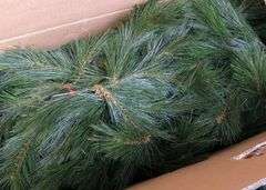 CHRISTMAS TREES AND STAND