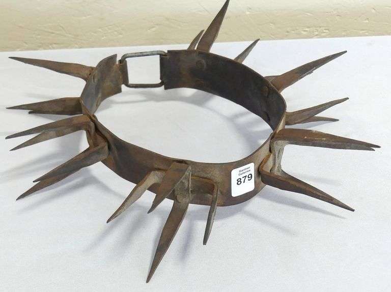 SPIKED DOG COLLAR