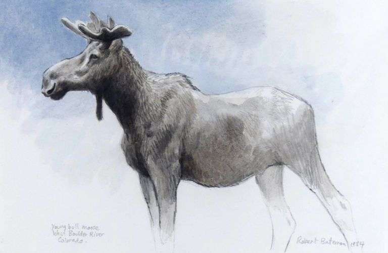 ROBERT BATEMAN