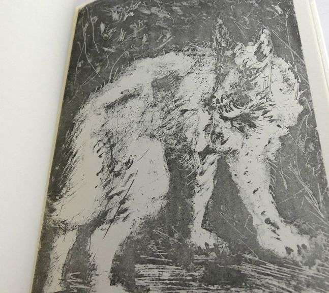 PICASSO & MOTHERWELL ART VOLUMES