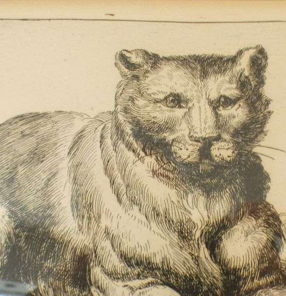 18TH CENTURY "LION CUB" ENGRAVING