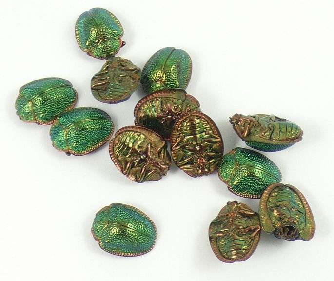 JEWELLERY SCARABS
