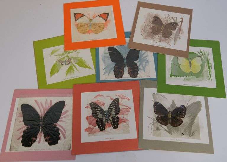 WATERCOLOUR, PRINTS AND BUTTERFLIES