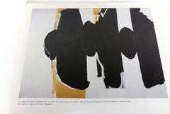 PICASSO & MOTHERWELL ART VOLUMES