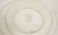 TWO COVERED BUTTER DISHES