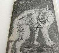 PICASSO & MOTHERWELL ART VOLUMES