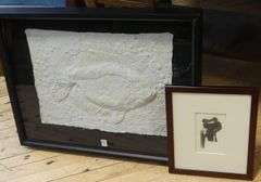 TWO INTERESTING FRAMED ITEMS