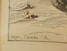 18TH CENTURY "LION CUB" ENGRAVING