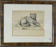 18TH CENTURY "LION CUB" ENGRAVING