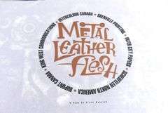 STEVE MYKOLYN VOLUME "METAL LEATHER FLESH"