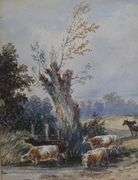 WATERCOLOUR, PRINTS AND BUTTERFLIES